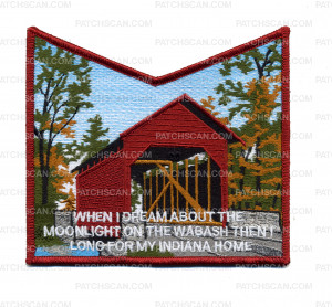 Patch Scan of When I Dream About the Moonlight Pocket Patch