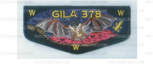 Patch Scan of Gila Lodge Bat flap