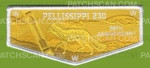 Patch Scan of Pellissippi 230 80th Anniv.