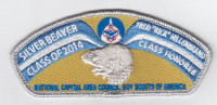 Silver Beaver 2014 CSP  National Capital Area Council #82