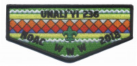 Unali'yi 236 NOAC 2018 flap KW3120 Green Bkgd Coastal Carolina Council #550