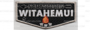Patch Scan of Service Flap (PO 100060)