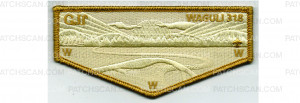 Patch Scan of Golden Flap 2024 (PO 101571)