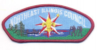 147874 - Northeast Illinois Council CSP Northeast Illinois Council #129