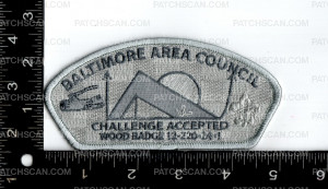 Patch Scan of 172967-Grey