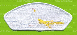 Patch Scan of 2023 PPC NSJ "Ghosted Bird" Colored FriesCSP