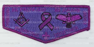 Patch Scan of Pancreatic Cancer Flap - Numbered
