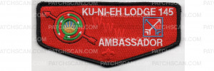 Patch Scan of Ambassador Flap (PO 89108)