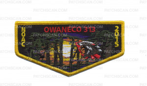 Patch Scan of Owaneco 313 (Noac 2015- Yellow) 
