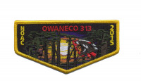 Owaneco 313 (Noac 2015- Yellow)  Connecticut Yankee Council #72