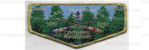 Patch Scan of 100th Anniversary Flap (PO 88510)