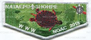 Patch Scan of ns lodge noac 2018 turtle