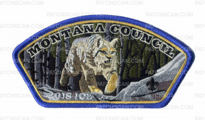 Patch Scan of Montana Council 2018 ICL CSP