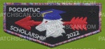 Patch Scan of Scholarship Flap