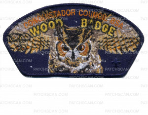 Patch Scan of Wood Badge Owl CSP (34208)