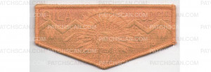 Patch Scan of Lodge Adviser Appreciation Flap Ghosted (PO 86577)