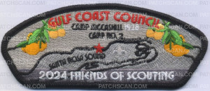 Patch Scan of 464022- 2024 FOS Gulf Coast Council 