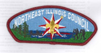 Northeast Illinois Council CSP Northeast Illinois Council #129