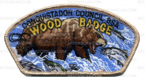 Patch Scan of Wood Badge Bear CSP (34170)