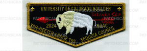 Patch Scan of 2024 NOAC Fundraiser Flap (PO 101507)