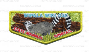 Patch Scan of Wipala WIki 432 State Mammal Ringtail
