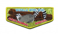 Wipala WIki 432 State Mammal Ringtail Grand Canyon Council #10