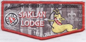 Patch Scan of Celebrating the OA Centennial 