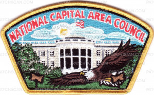 Patch Scan of NCAC Eagle Wood Badge CSP Gold Border