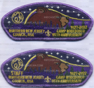 Patch Scan of 436769- 95th Anniversary 