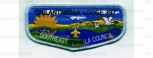 Patch Scan of 75th Anniversary Flap #5 (PO 101497)