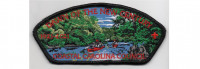 100th Anniversary CSP #2 (PO 89596) Coastal Carolina Council #550