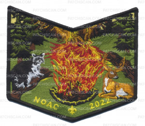 Patch Scan of NOAC-2022 Tantamous 223 Bottom Piece (Day)