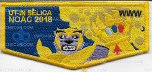 Patch Scan of Ut- In Selica