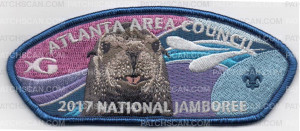 Patch Scan of AAC NJ SEA LION