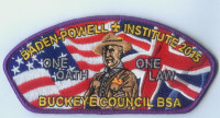 BADEN POWELL INSTITUTE 2015 Buckeye Council #436