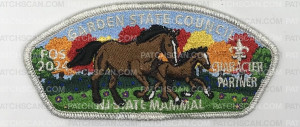 Patch Scan of GARDEN STATE COUNCIL FOS 2024 CSP