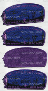 Patch Scan of 33895 - Baltimore Area Council Wood Badge Patch