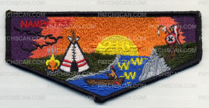 Patch Scan of NAMPA- TSI 216 Flap 