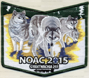 Patch Scan of Gyantwachia 255 NOAC 2015 - Pocket Flap