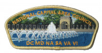 National Capital Area Council WWII Memorial CSP National Capital Area Council #82