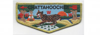 Lodge Flap Metallic Gold Border (PO 87652) Chattahoochee Council #91