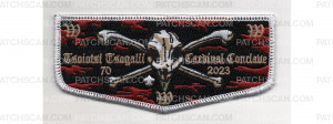 Patch Scan of Cardinal Conclave 2023 Flap (PO 100944)