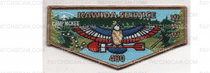 Patch Scan of Service Flap (PO 101114)