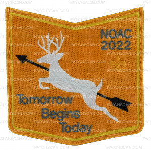 Patch Scan of Tsisqan 253 NOAC 2022 pocket patch
