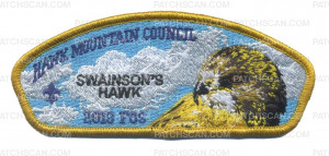 Patch Scan of Hawk Mountain Council - 2019 FOS (Swainson's Hawk)