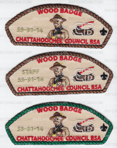 Patch Scan of Wood Badge S9-91-14 CSP