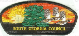 Patch Scan of South Georgia Council