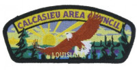 Calcasieu Area Council - Louisiana CSP Calcasieu Area Council #209