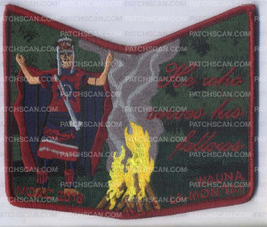 Patch Scan of 355351 FELLOWS