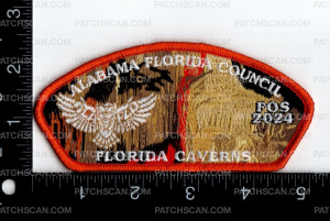 Patch Scan of 170683-Orange